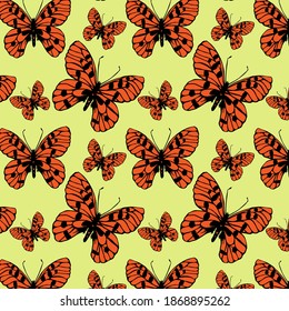 Drawn butterfly. Butterfly anatomy drawing. Pattern for printing.