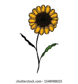 Drawn by hand in a doodle style sunflower. Bright, color, vector illustration. Floral design. The object is isolated on a white background. blooming flower