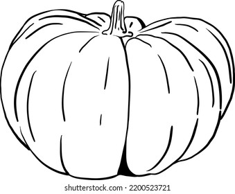 drawn by hand, the picture is a pumpkin from a simple outline 11
