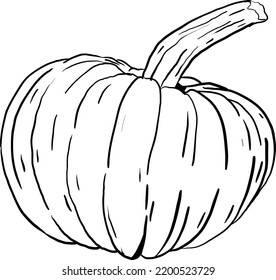 drawn by hand, the picture is a pumpkin from a simple outline 10