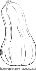 dibujada a mano, la imagen es una calabaza de un simple contorno 4
