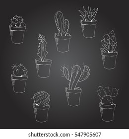 Drawn by hand various cacti in the style of chalk on a blackboard.