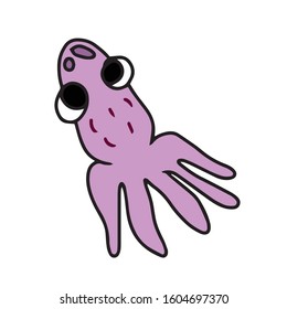 Drawn by hand,octopus .Vector illustration on a white isolated background.Form for banners, postcards. Animal