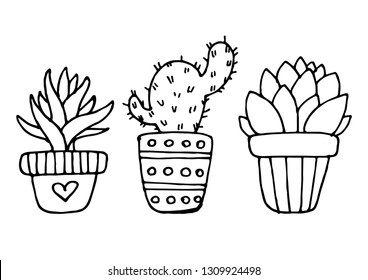 Drawn Cactus Collection Set Cute Floral Mexican