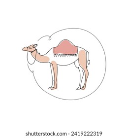 Drawn camel on white background