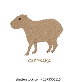 Drawn cartoon capybara. Childish tee shirt design or book illustration.