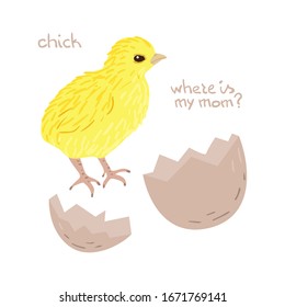 Drawn cartoon newborn chick, eggshell and text - where is my mom? Childish tee shirt print.