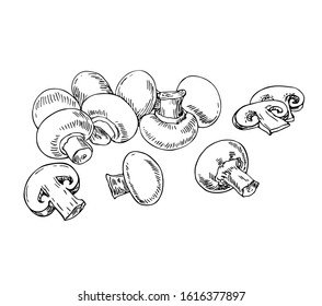 Drawn champignon set. Line art style.