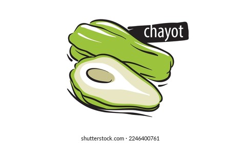 Drawn chayote isolated on a white background