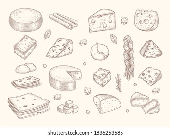 Drawn cheese. Gouda parmesan mozzarella delicious gourmet milk organic sliced products vector illustrations