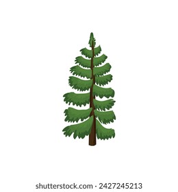 Drawn coniferous tree on white background