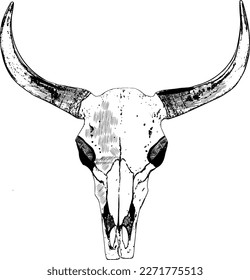 Drawn cow skull - illustration