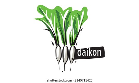 Drawn daikon isolated on a white background