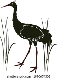 Dragezeichneter dunkelgrüner Kran-Vogel in einem Sumpf auf Hochgras, Vektorgrafik 