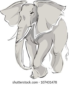 the drawn elephant