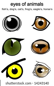 drawn eyes of different animals