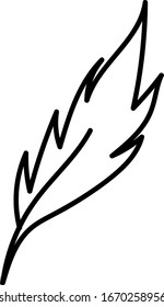 drawn feathers. on an isolated white background. Doodle outline vector illustration.
