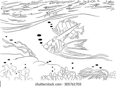 Drawn fishes