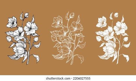 Drawn flower branch in vector format. Set of elements for decoration. Flowers set. Branch. Bloom. Plant. Botany. Spring. Wedding. Holiday invitations.