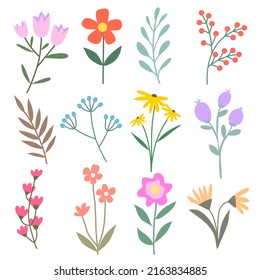 diseño de flor dibujado 