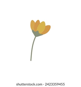 Drawn flower on white background
