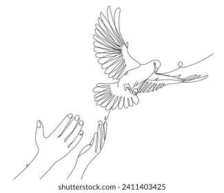 Drawn flying dove and human hands on white background