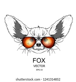 
Drawn fox in sunglasses illustration. .Can be used for printing on T-shirts, flyers and stuff. Hipster dog. Vector illustration.