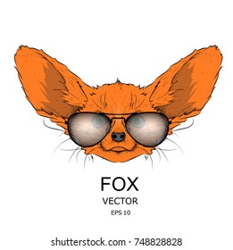 Drawn fox in sunglasses illustration. Vector illustration