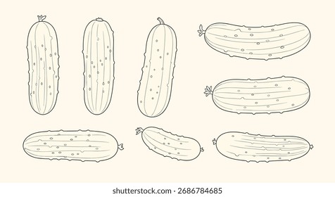 Desenhar pepinos frescos em um estilo de esboço simples.