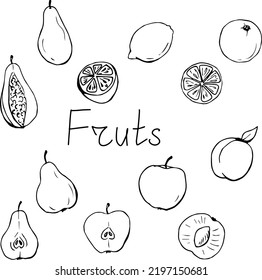 Drawn fruits. Summer. Vitamins. Line art. Fruit sketch. Lemon. Cut orange. A pineapple. Apple. Pear.