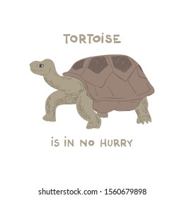 Drawn Giant Galapagos Tortoise With Text Tortoise Is In No Hurry. Childish Tee Shirt Design.