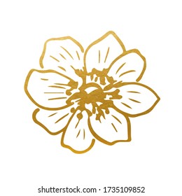 Drawn Golden Anemone Flower - Golden Flower Vector Decoration