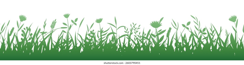 Drawn grass isolated on white background, seamless border, vector design