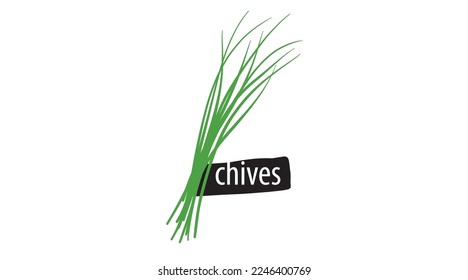 Drawn green spring onion isolated on a white background svg