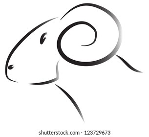 Drawn head of sheep ram