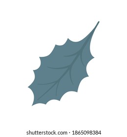 Drawn Holly leaf isolated on white. Vector, hand-drawn illustration for the design of Christmas or new year greeting cards.