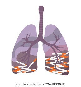 Drawn human lungs with harmful cigarettes on white background