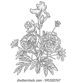 Drawn ink vintage flowers. Iris, daisies, and gorgeous peonies. Vector illustration. Page for coloring