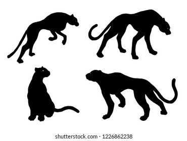 Drawn jaguar, leopard, cheetah, wild cat, panther, puma black silhouettes isolated on white. Wall painting elements template background