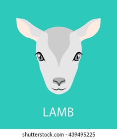 Drawn lamb on a turquoise background
