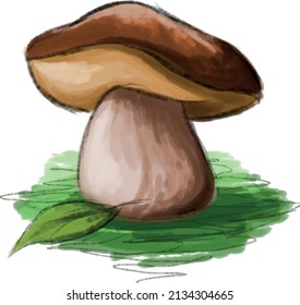 Drawn large porcini mushroom on green grass. Book printable vector	