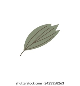 Drawn leaf on white background