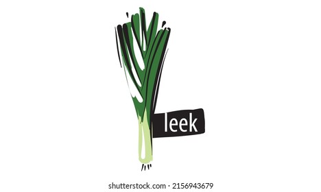 Drawn leek isolated on a white background