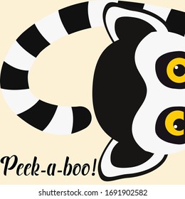 drawn lemur peeks vector graphics