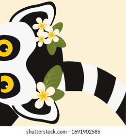 drawn lemur with plumeria on its head vector graphics