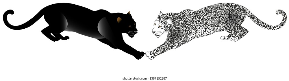 drawn leopard-black jaguar white leopard cheetah animals