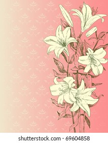 Drawn lily on pink background
