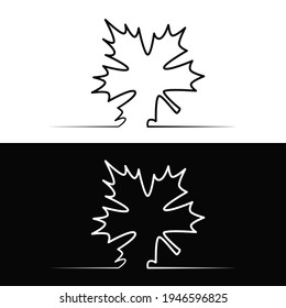 Drawn linear silhouette of a maple leaf on a white and black background for the logo and design 