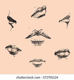 The drawn lips in different provisions, in a schedule manner