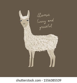 Drawn llama with text Llama funny and graceful. Childish tee shirt design.